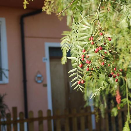 Bed and Breakfast Pepe Rosa Termoli Zewnętrze zdjęcie